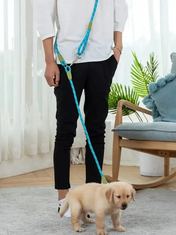 Two-in-One Dog Leash