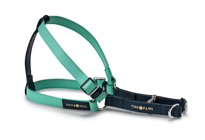 Sasha (Italian Leather) Step-In Dog Harness – by The Paw Co.