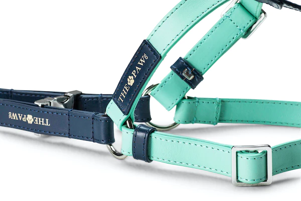 Sasha (Italian Leather) Step-In Dog Harness – by The Paw Co.