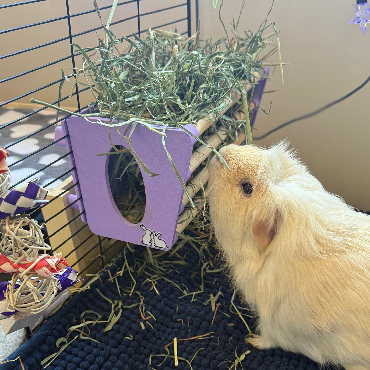 SINGLE Cage Mounted Hay Rack - Sky Blue - TRADE