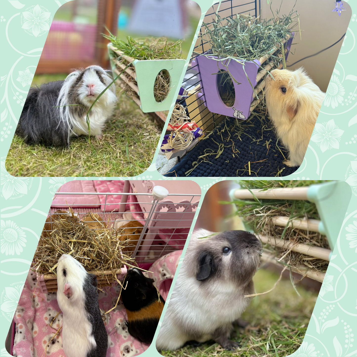 SINGLE Cage Mounted Hay Rack - Sky Blue - TRADE