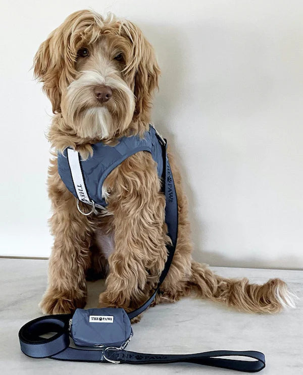 Brooklyn Dog Harness (Navy)– by The Paw Co.