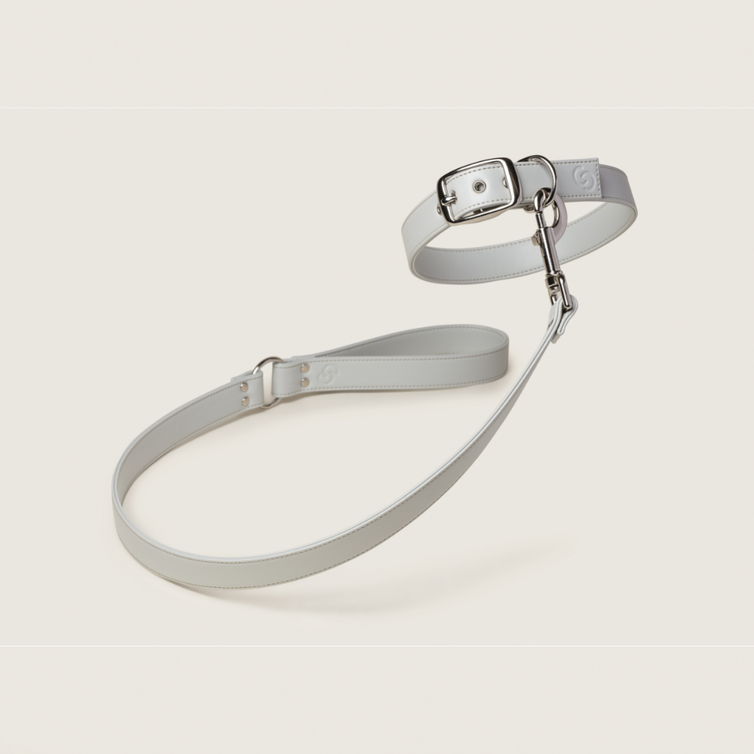 Ice Blue Dog Collar (Vegan Apple Leather) – by Skylos Collective