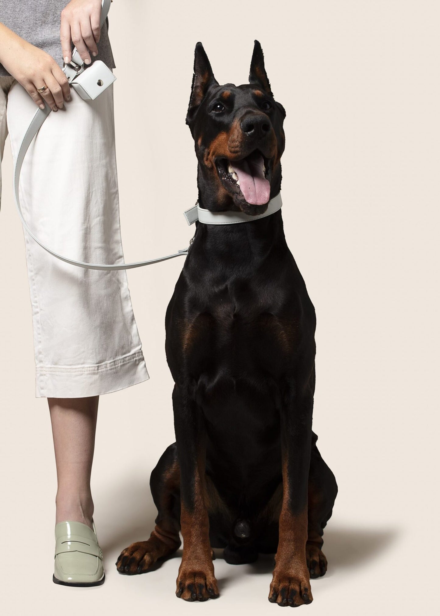 Ice Blue Dog Collar (Vegan Apple Leather) – by Skylos Collective