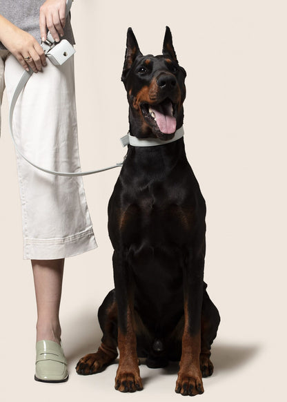 Ice Blue Dog Collar (Vegan Apple Leather) – by Skylos Collective