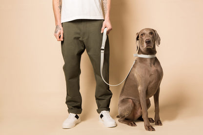 Ice Blue Dog Collar (Vegan Apple Leather) – by Skylos Collective