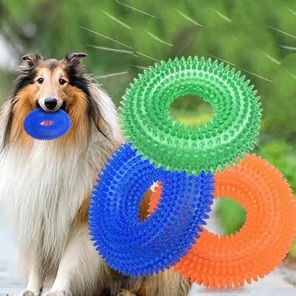 Squeaky Dog Chew Toy