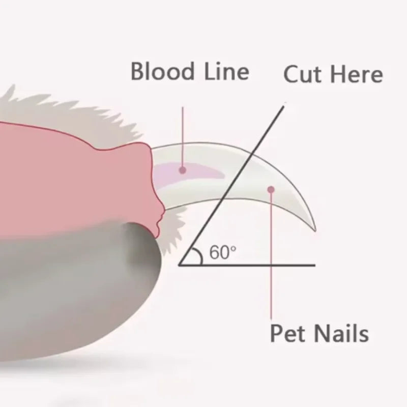 Pet Nail Clippers