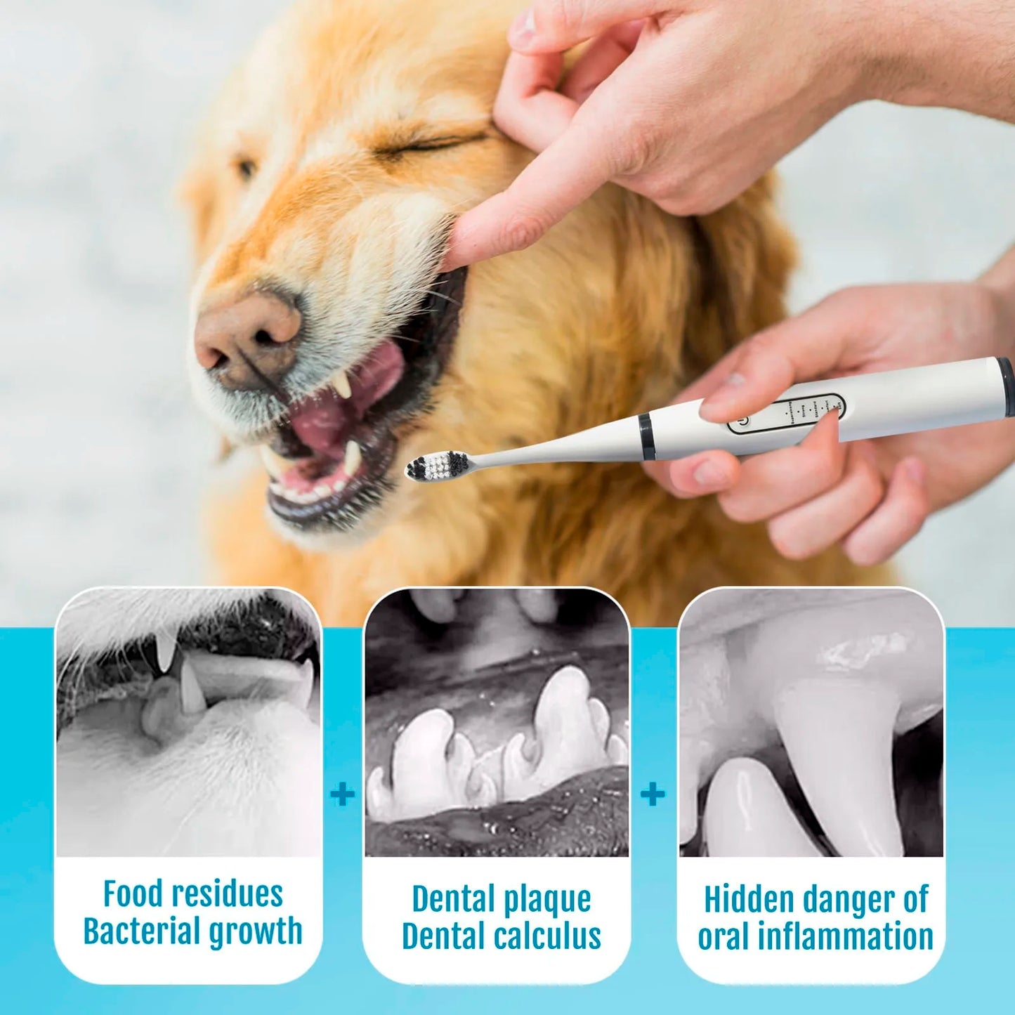 Dog Toothbrush Set