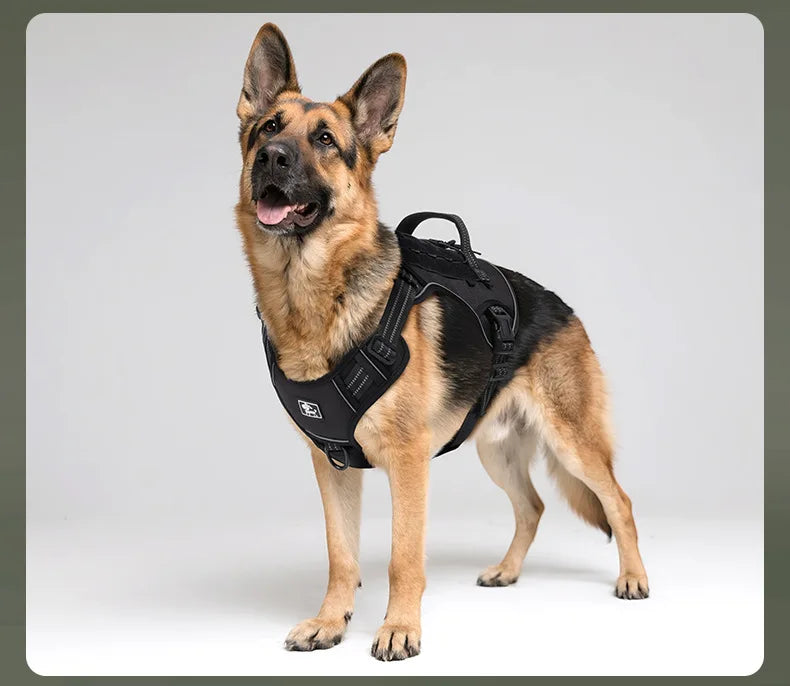 Tactical Dog Harness