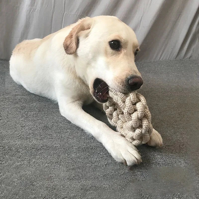 Knotted Dog Chew Toy
