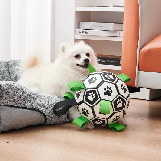 Dog Soccer Ball Toy