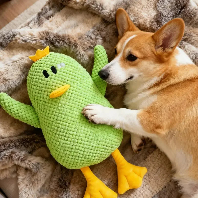 Plush Duck Dog Toy