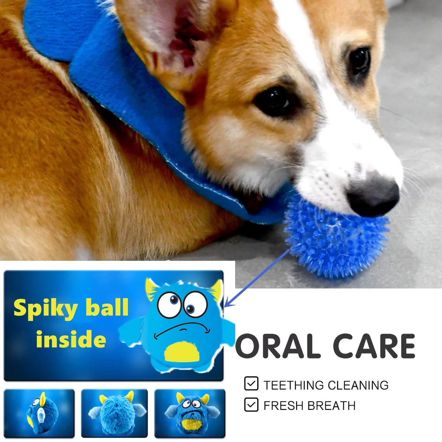 Squeaky Plush Dog Ball