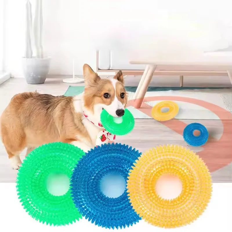 Squeaky Dog Chew Toy