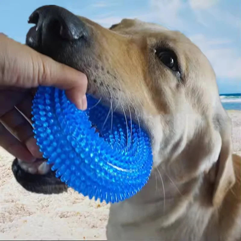 Squeaky Dog Chew Toy