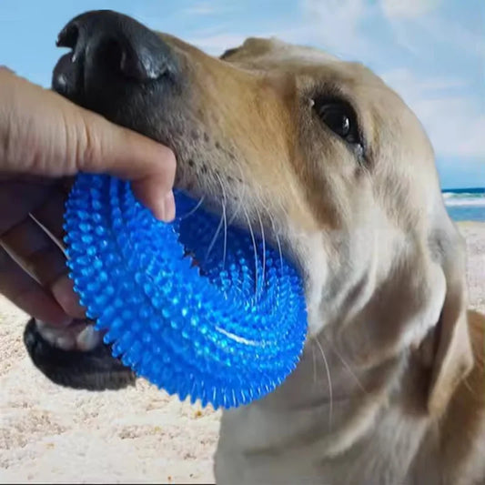 Squeaky Dog Chew Toy