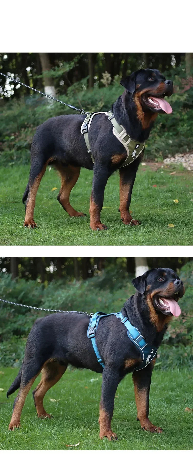 Reflective Dog Harness