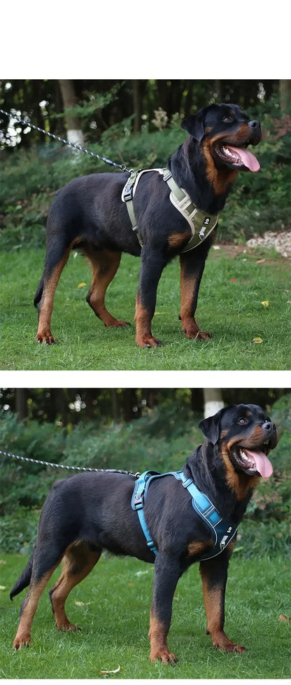 Reflective Dog Harness