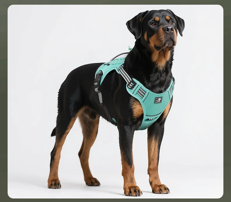 Tactical Dog Harness