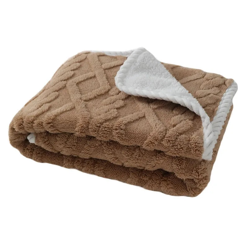 Warm Pet Fleece Blanket