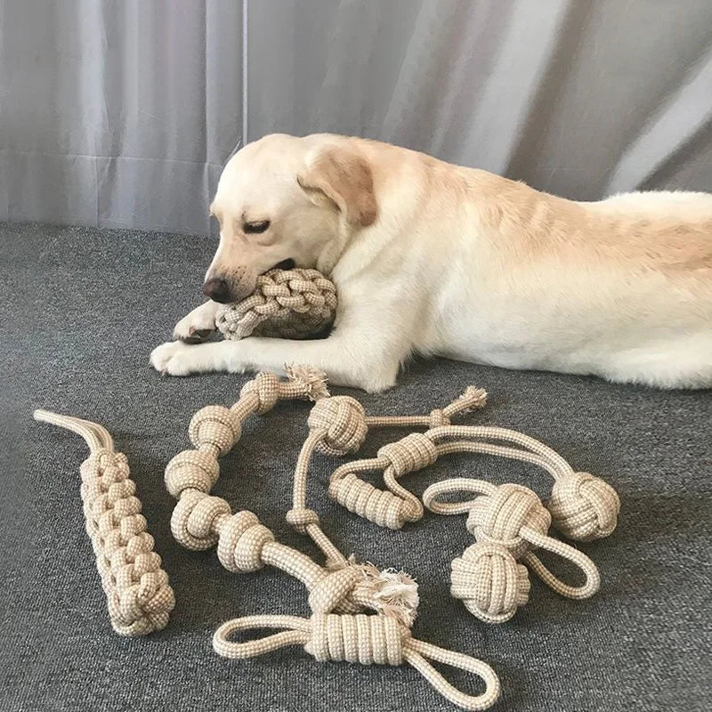Knotted Dog Chew Toy