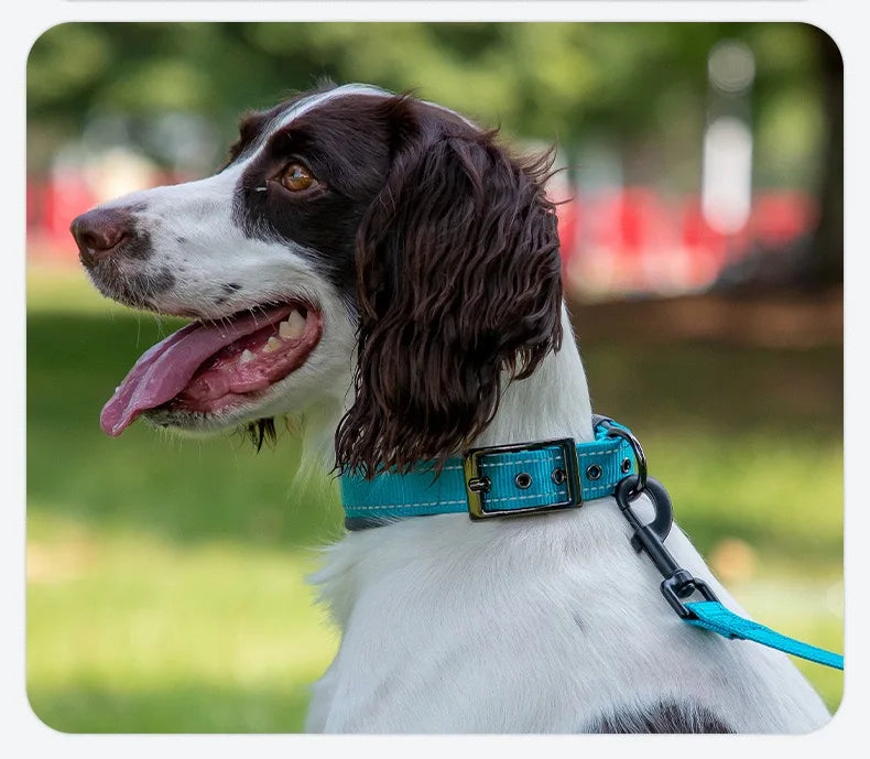 Padded Reflective Dog Collar