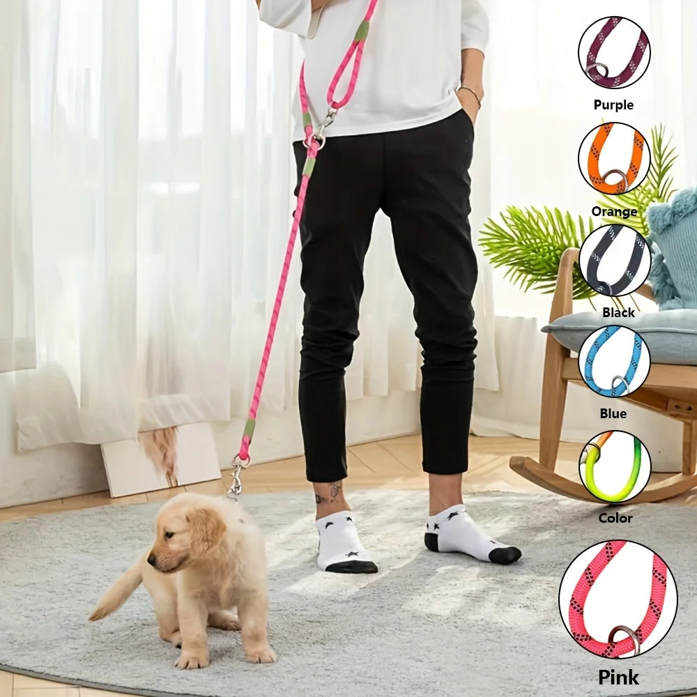 Two-in-One Dog Leash