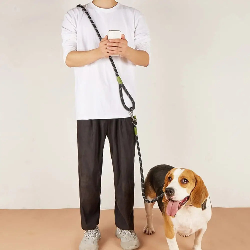 Two-in-One Dog Leash