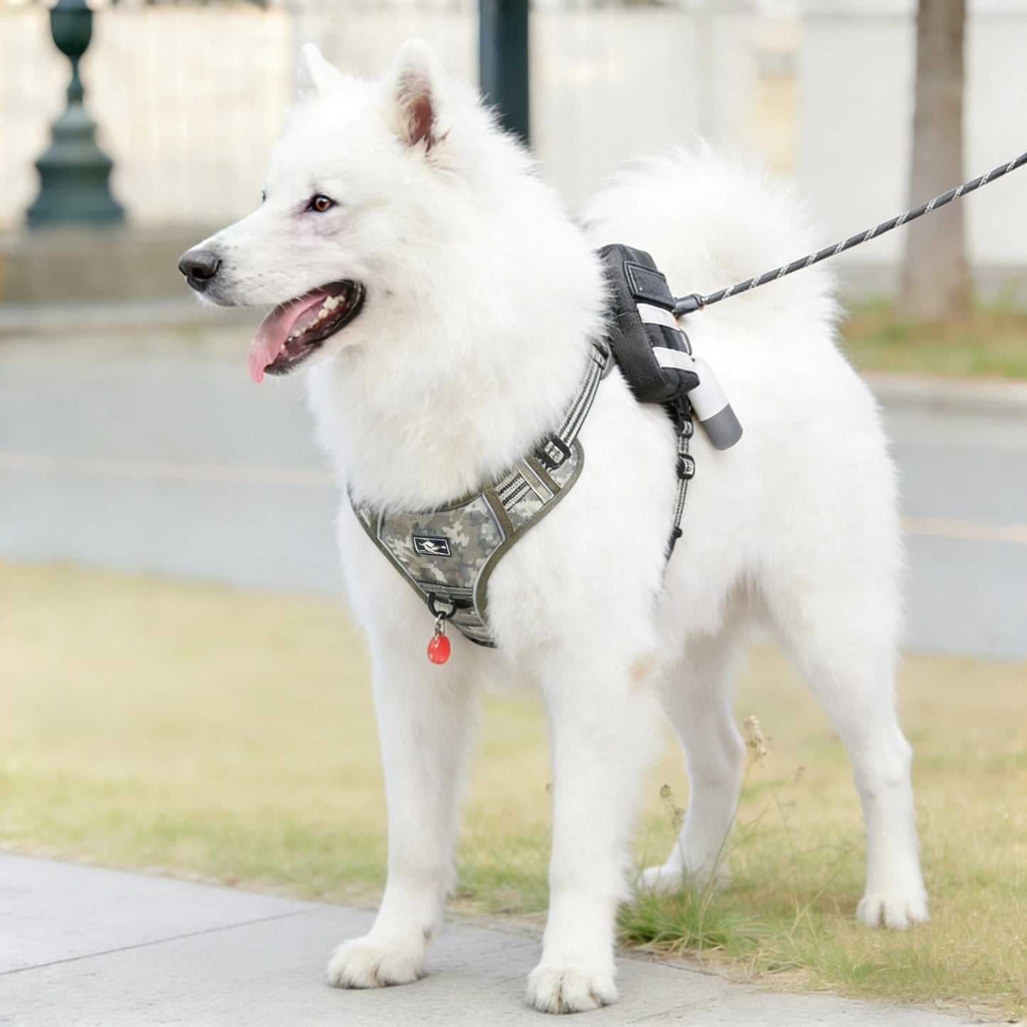Tactical Dog Harness