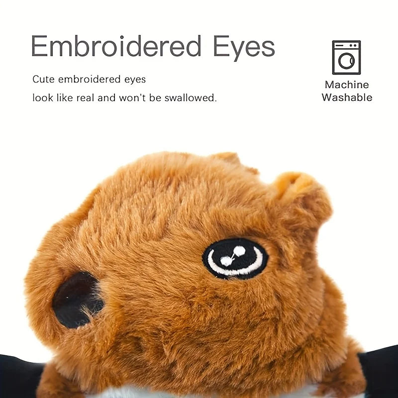 Plush Squeaky Dog Toy