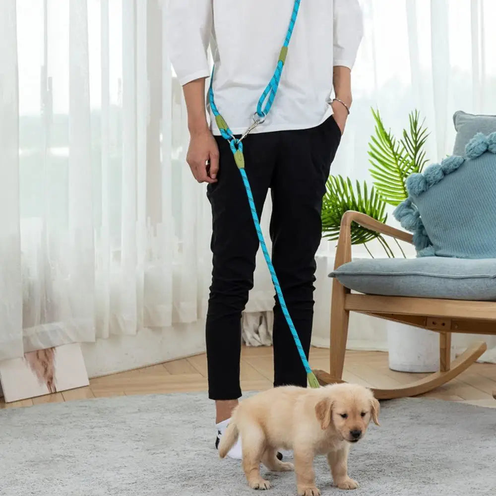 Two-in-One Dog Leash