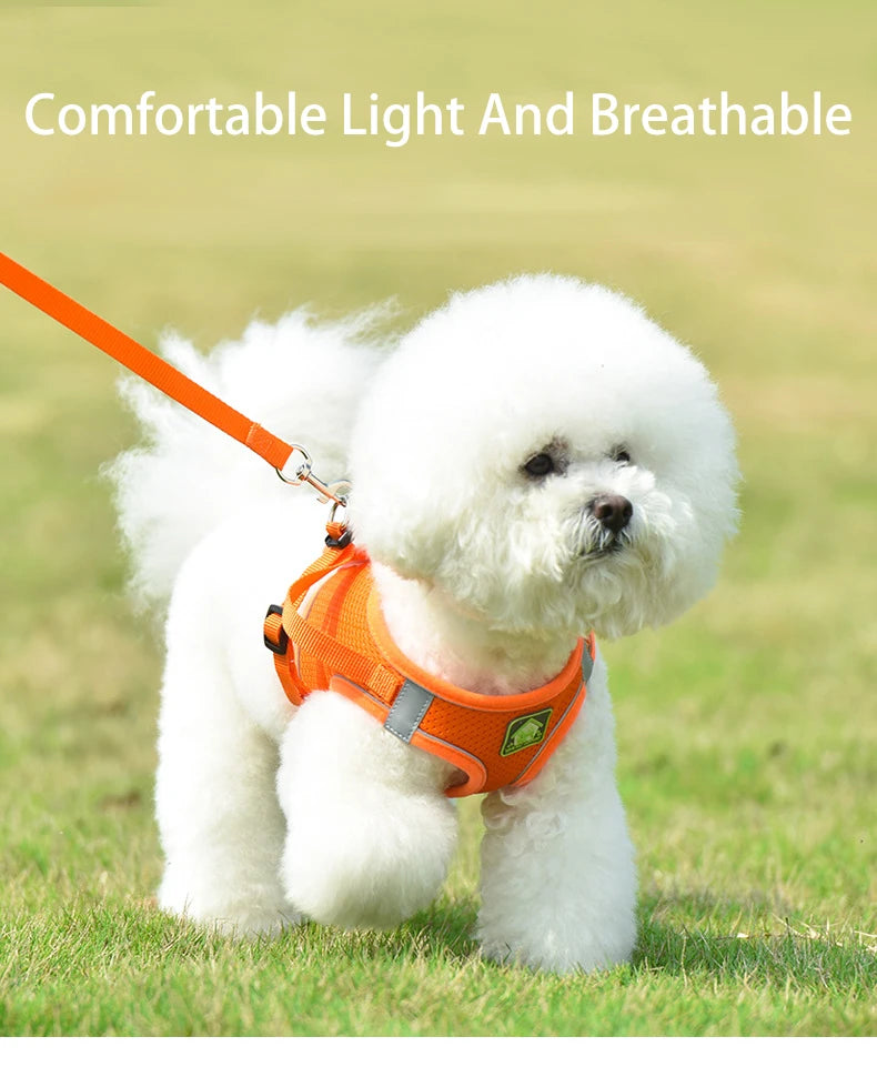 Reflective Dog Vest Harness