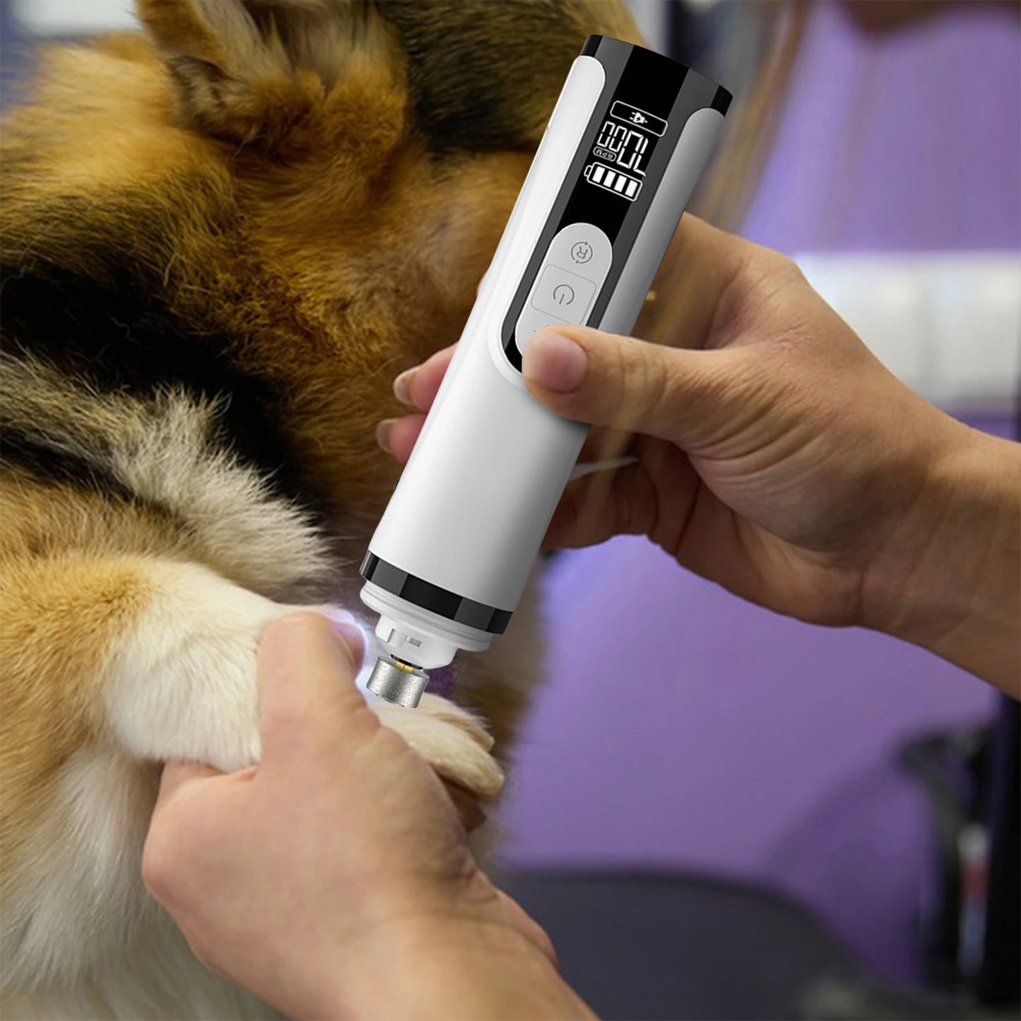 Electric Dog Nail Grinder