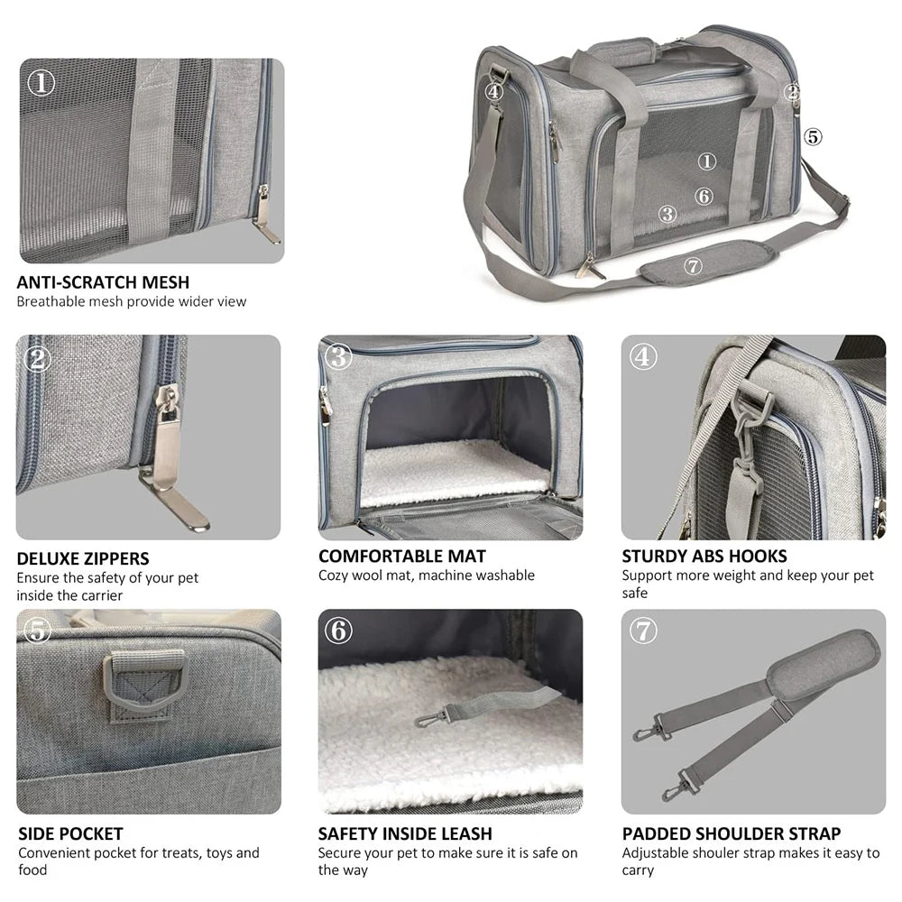 Collapsible Pet Carrier