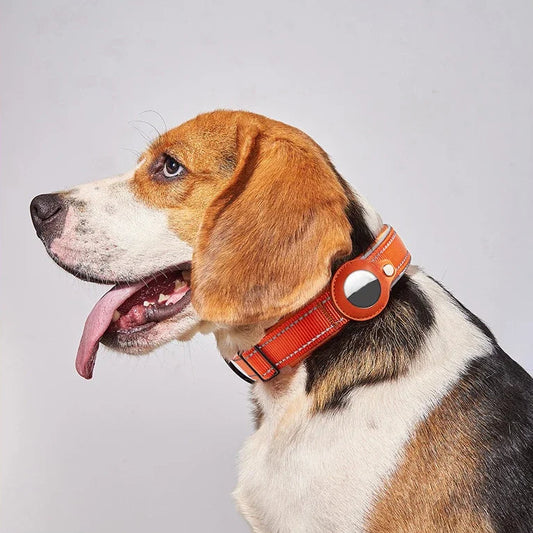 Reflective Dog Collar