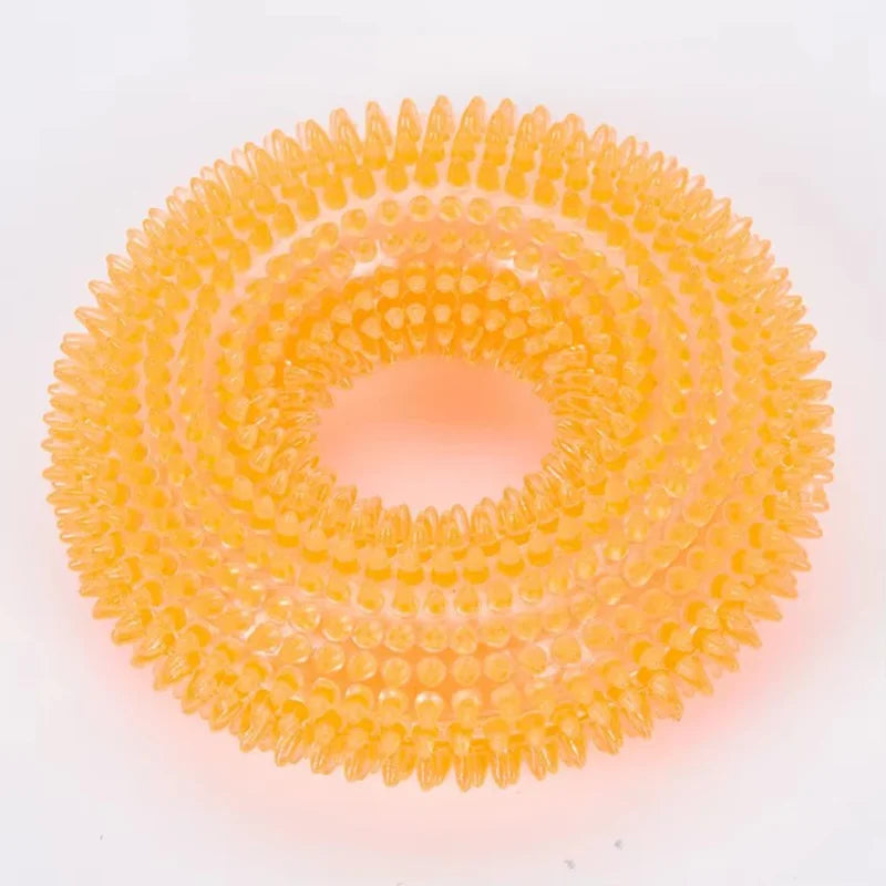 Squeaky Dog Chew Toy