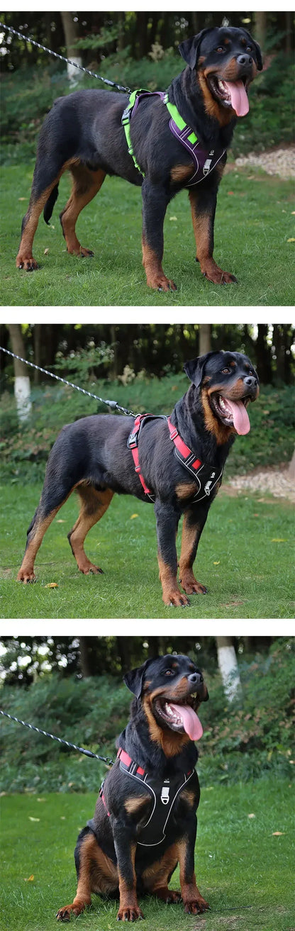 Reflective Dog Harness