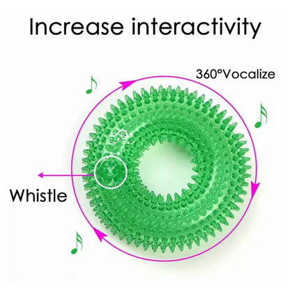 Squeaky Dog Chew Toy