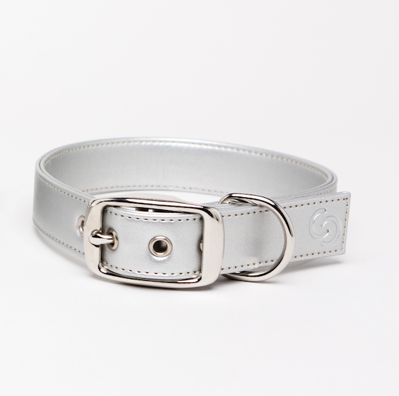 Silver Dog Collar (Vegan Apple Leather) – by Skylos Collective
