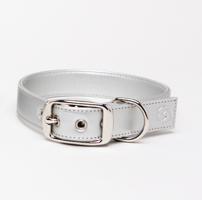 Silver Dog Collar (Vegan Apple Leather) – by Skylos Collective