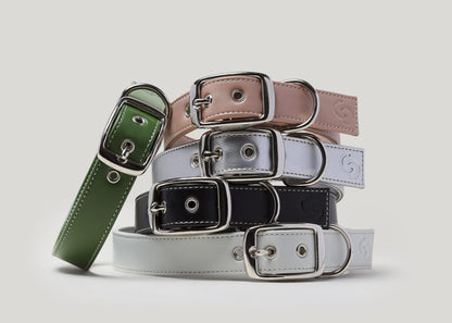Silver Dog Collar (Vegan Apple Leather) – by Skylos Collective