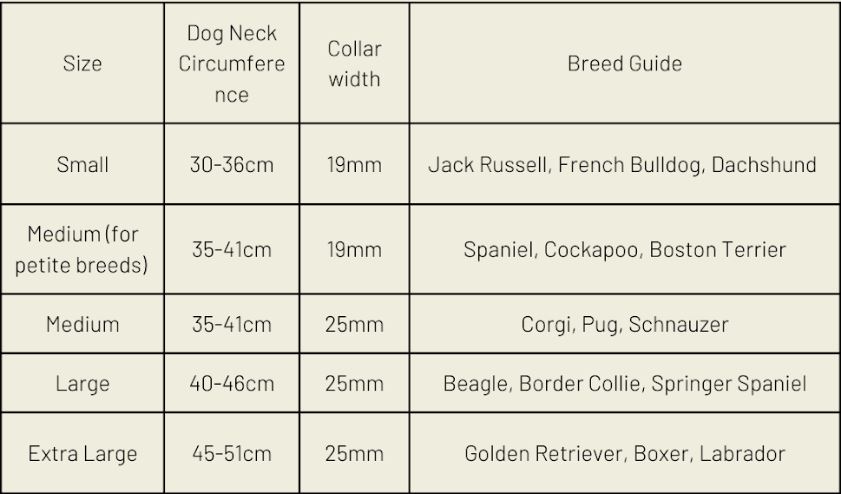 Silver Dog Collar (Vegan Apple Leather) – by Skylos Collective