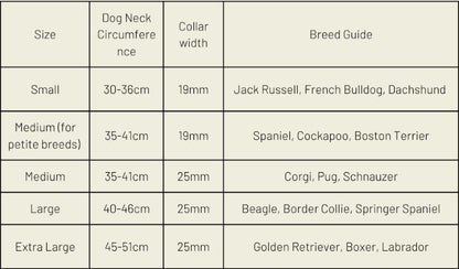 Silver Dog Collar (Vegan Apple Leather) – by Skylos Collective