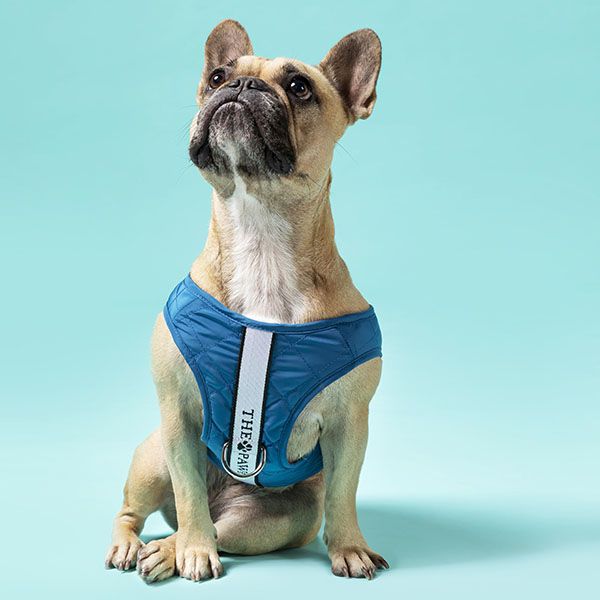 Brooklyn Dog Harness (Navy)– by The Paw Co.